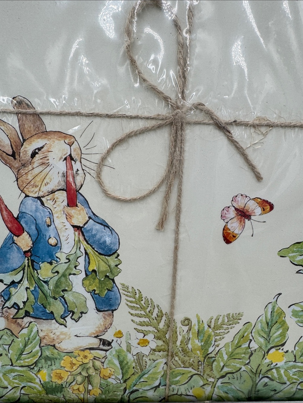 Pottery Barn Peter Rabbit Garden Cork Placemats Set of 8 Easter Discontinued NWT - Picture 5 of 9